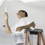 Whole-House Painting